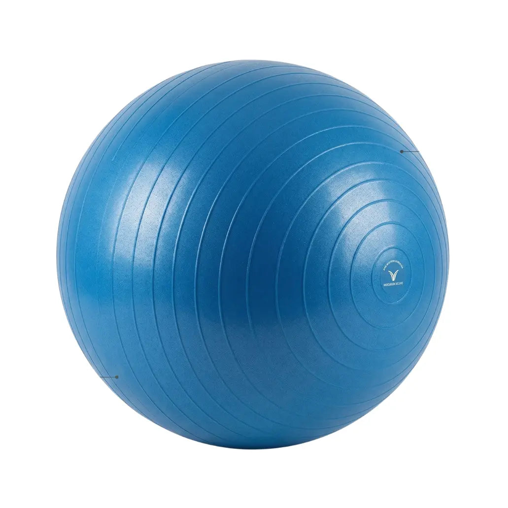 Pelota Prenatal Terapéutica
