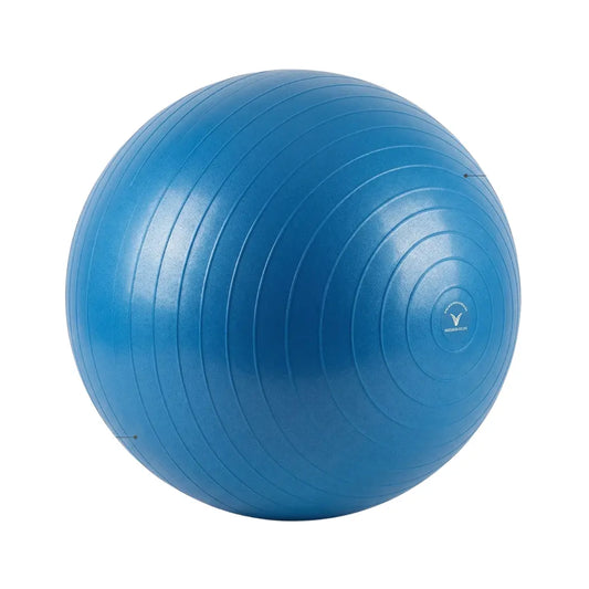 Pelota Prenatal Terapéutica