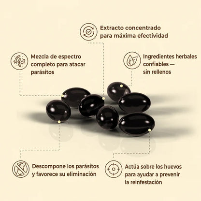 Selvia™— Librate de los parásitos y bichos ocultos en solo 14 días con Ajenjo, Nuez Negra y Clavo